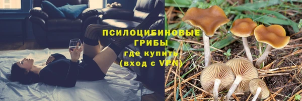 твердый Михайловка