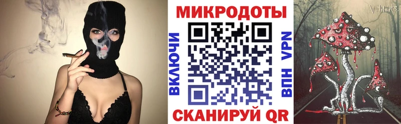 Галлюциногенные грибы Psilocybe  Киров 