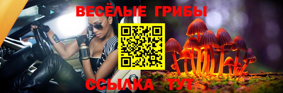 Псилоцибиновые грибы MAGIC MUSHROOMS Киров