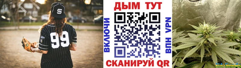 Каннабис семена Киров